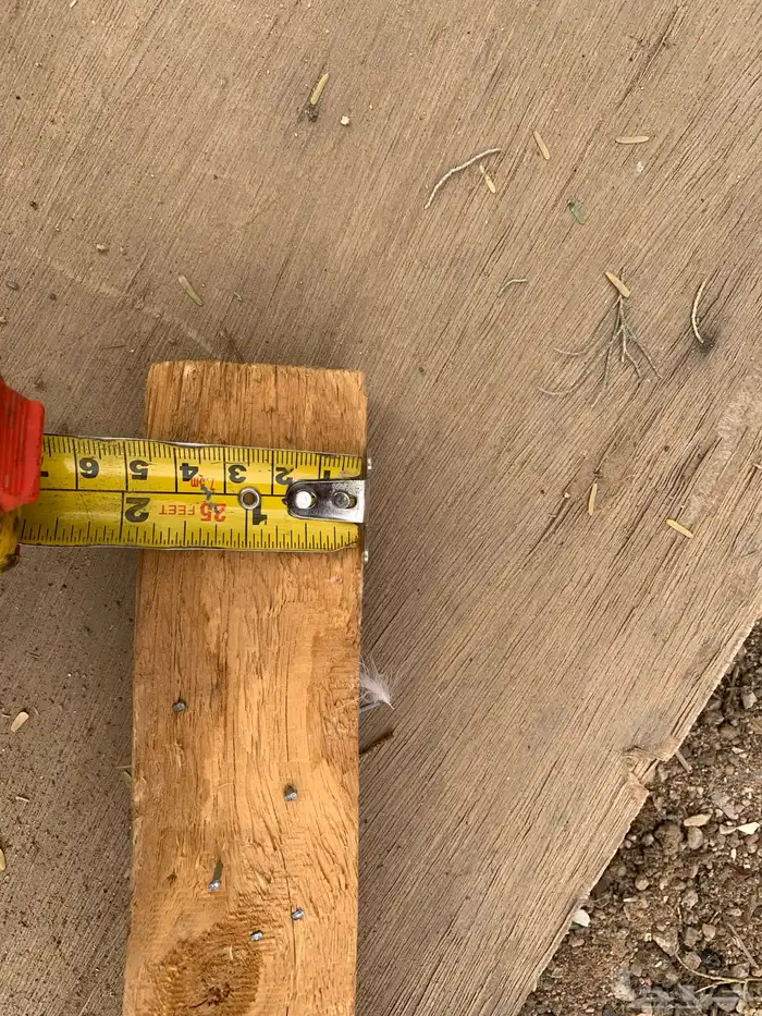 سيور ركايز العدد حول الخمسين يزود او ينقص 1