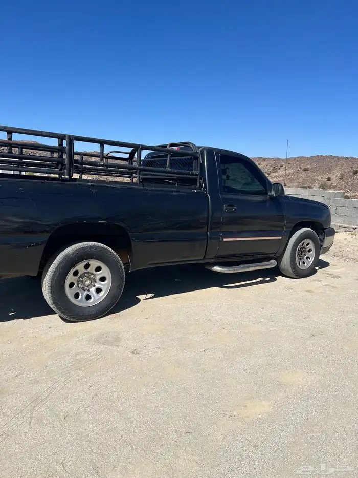 شفر ليت حوض 2005 1