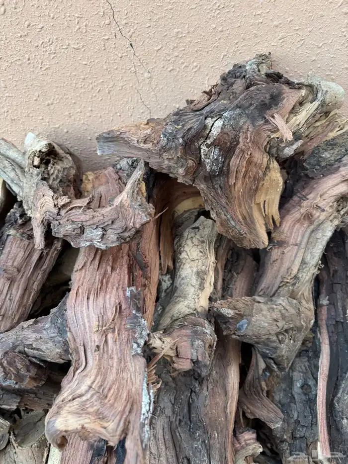 حطب افريقي مستورد 1