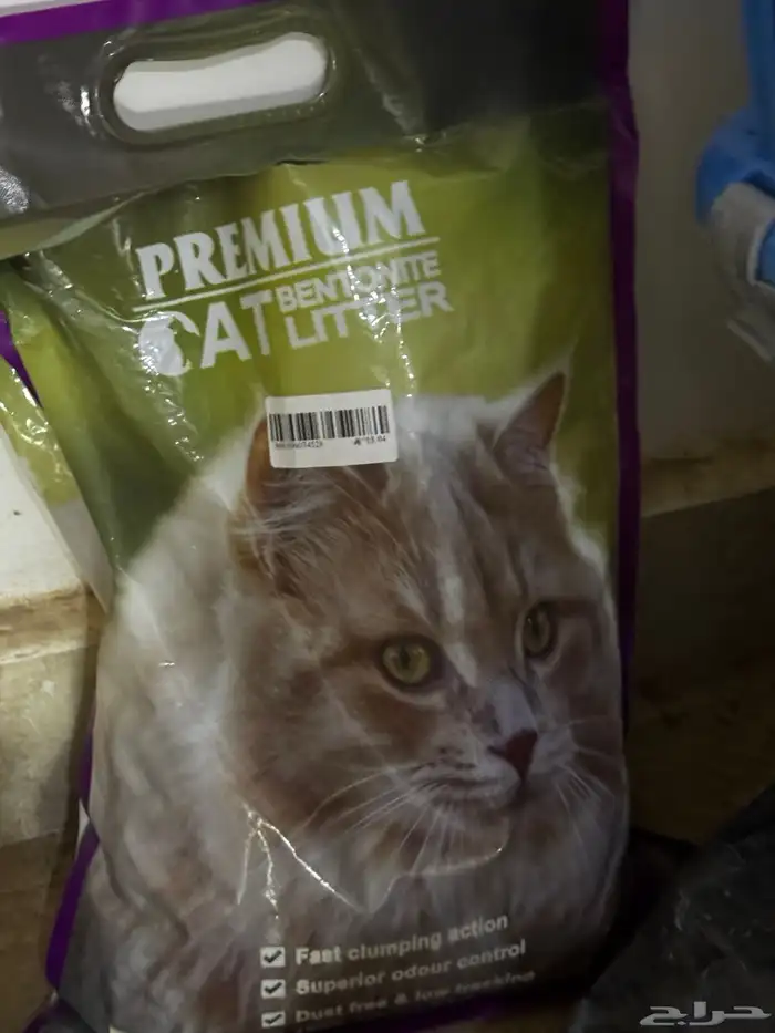 قطة انثى بريطاني للبيع مع جميع اغراضه ب175 ريال 8