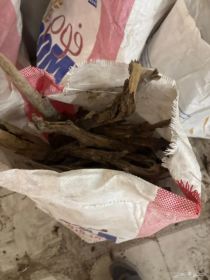 حطب  أورطة 2