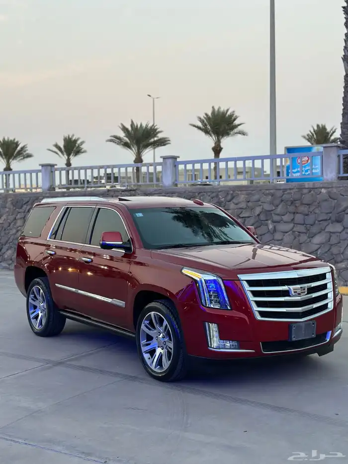 كاديلاك اسكاليد 2015 1