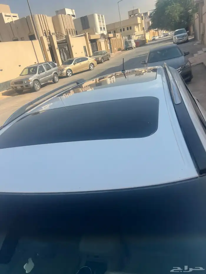 باتفندر 2014 36