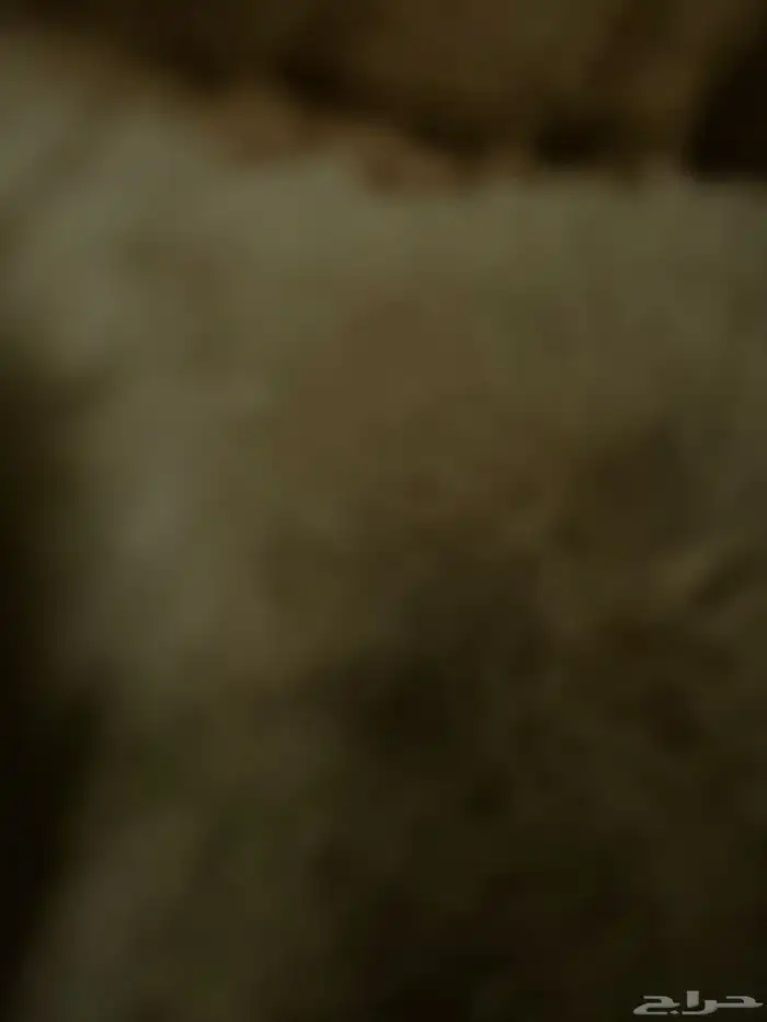 حساب جيني للبيع 0