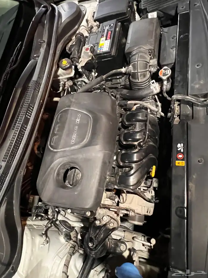 اكسنت بطاقة جمركيه 18