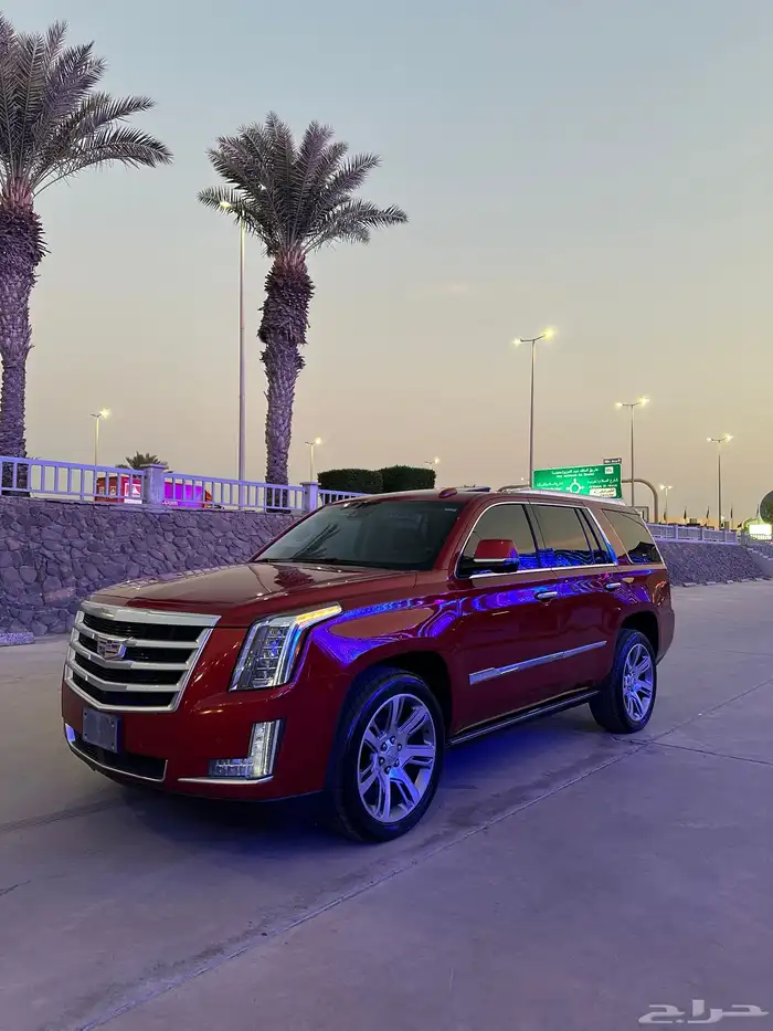 كاديلاك اسكاليد 2015 30