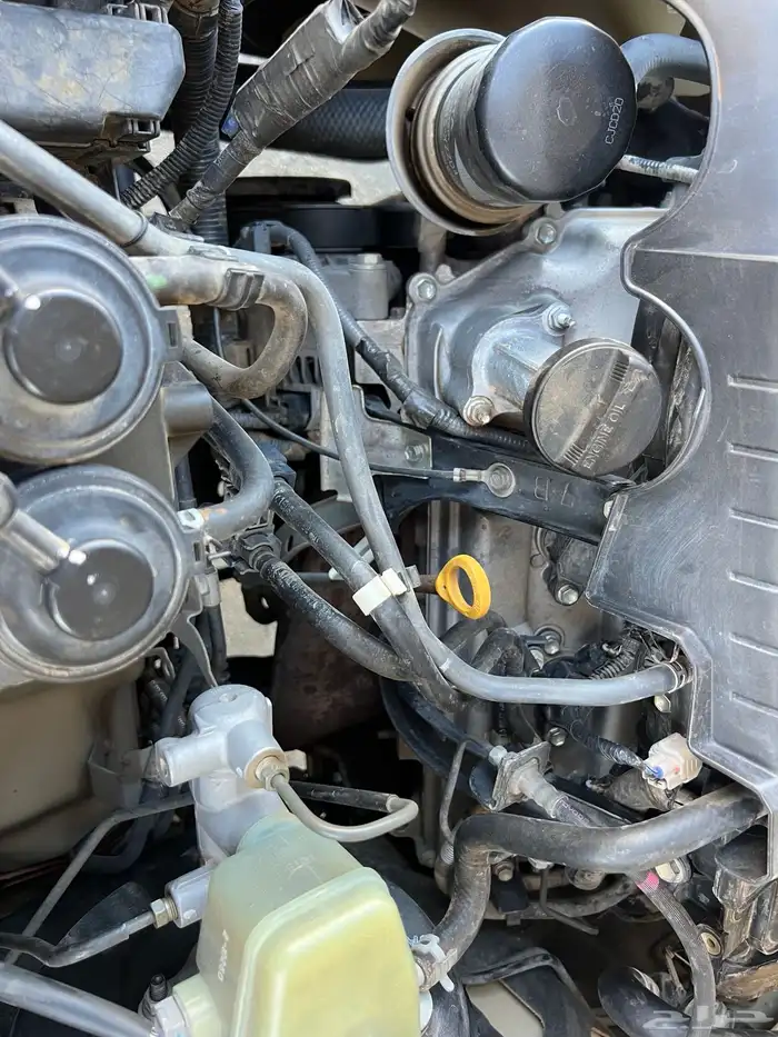 سعودي 2011 هندل بيج 17