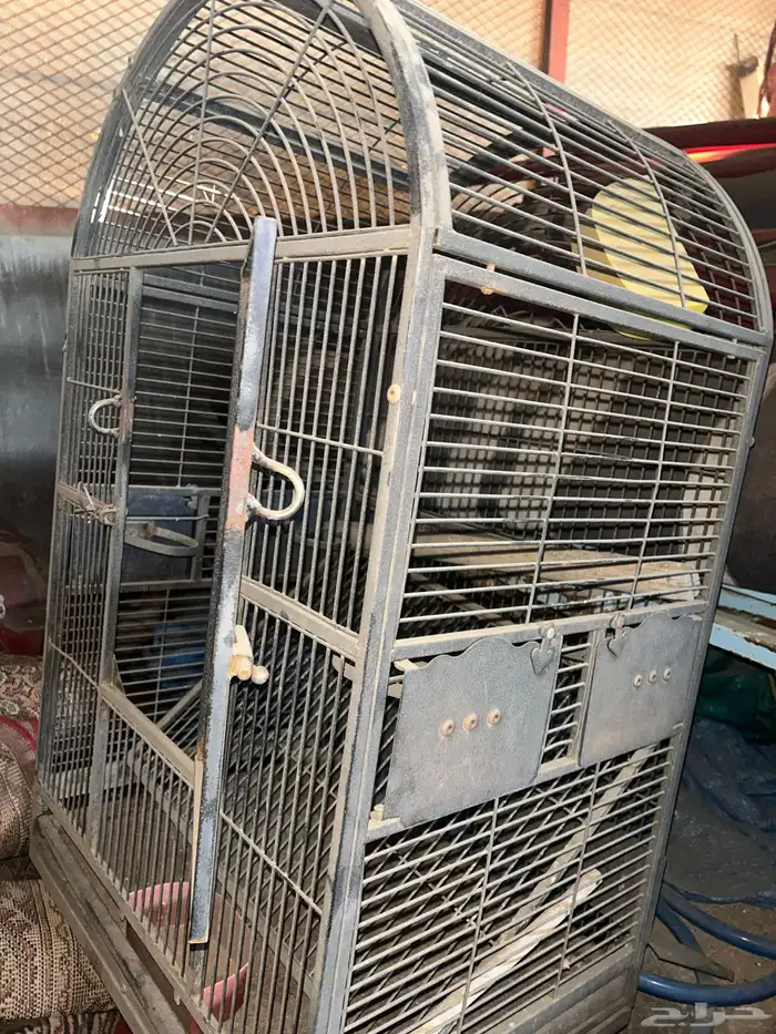 قفص ببغاء 4