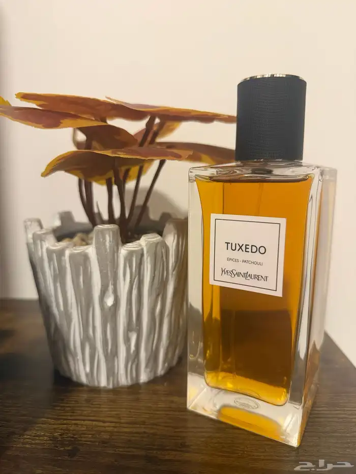 Yves Saint Laurent Perfumes 2