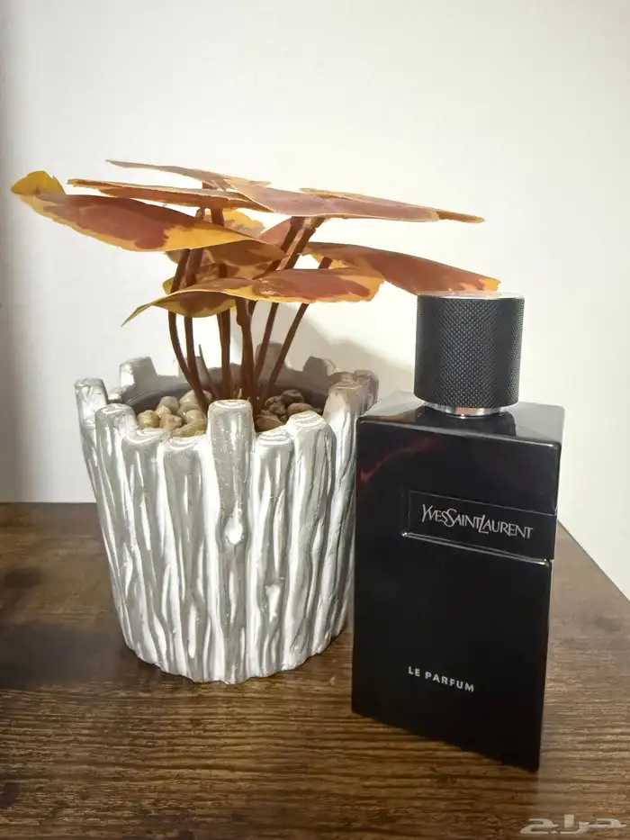 Yves Saint Laurent Perfumes 4