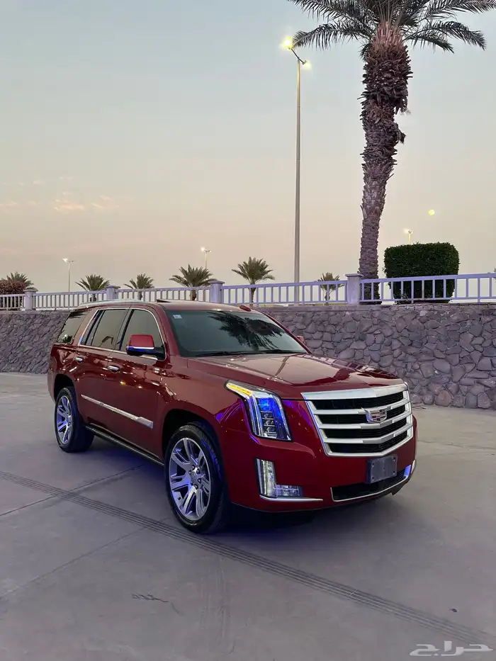 كاديلاك اسكاليد 2015 19