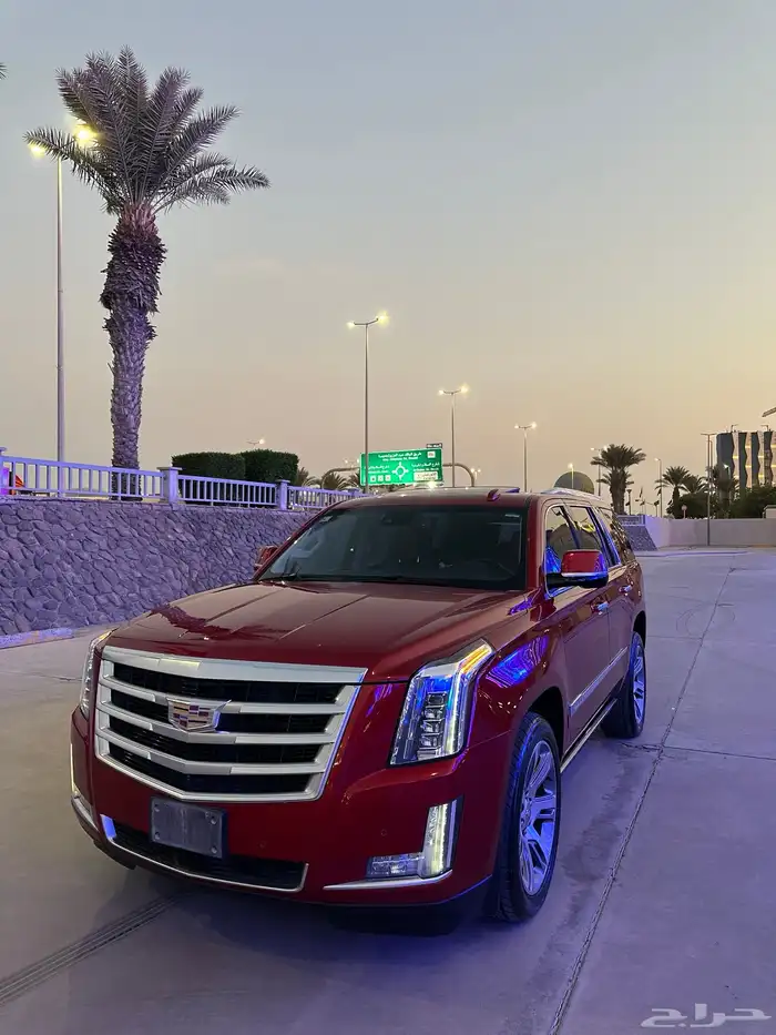 كاديلاك اسكاليد 2015 31