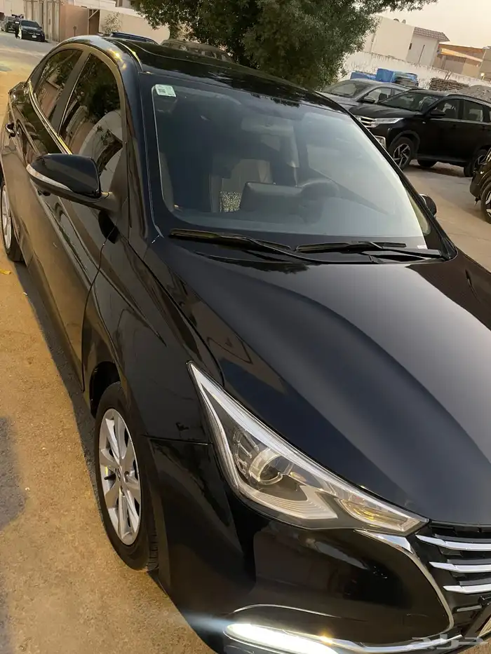 شانجان السفن 2024 فل كامل 0