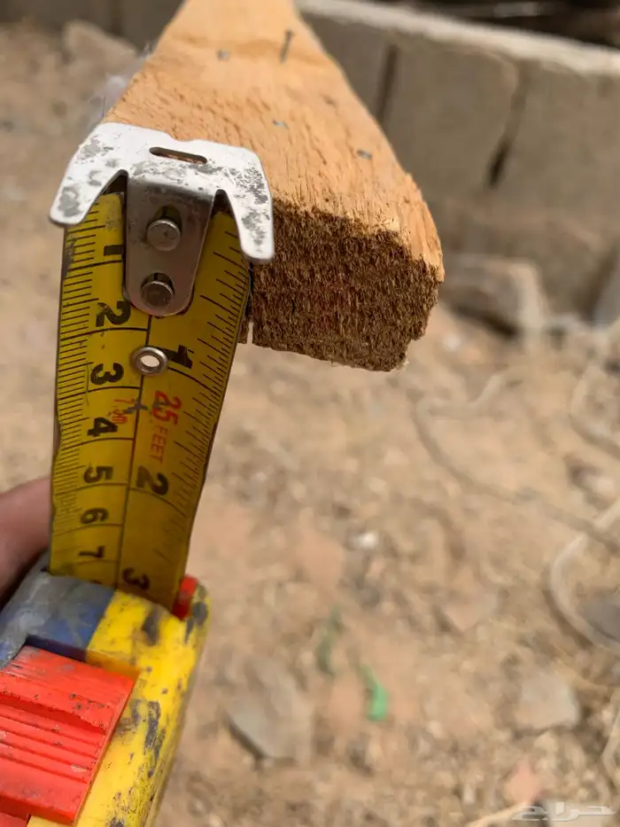 سيور ركايز العدد حول الخمسين يزود او ينقص 0