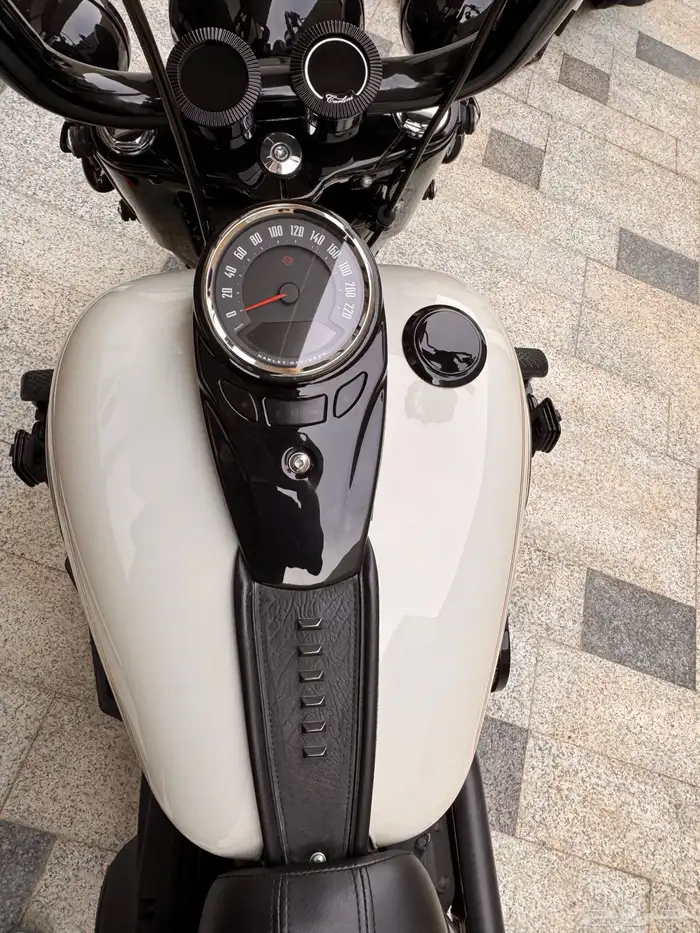 دباب هارلي هيرتج 2022 1