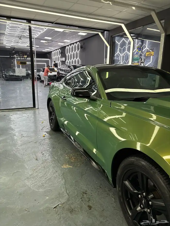 موستنق 2015 V6 3