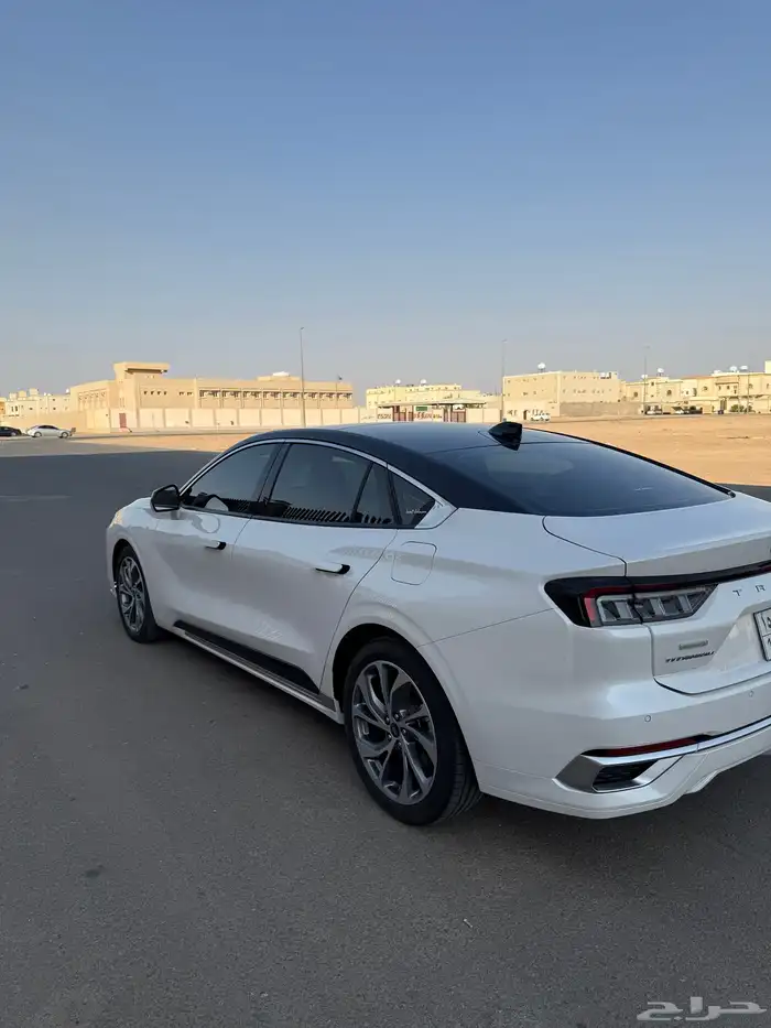 تورس تيتانيوم 2024 0