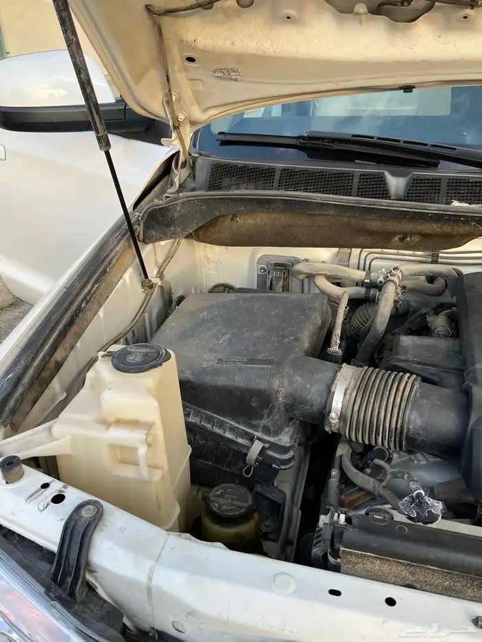 للبيع سكويا. مخزنه 17