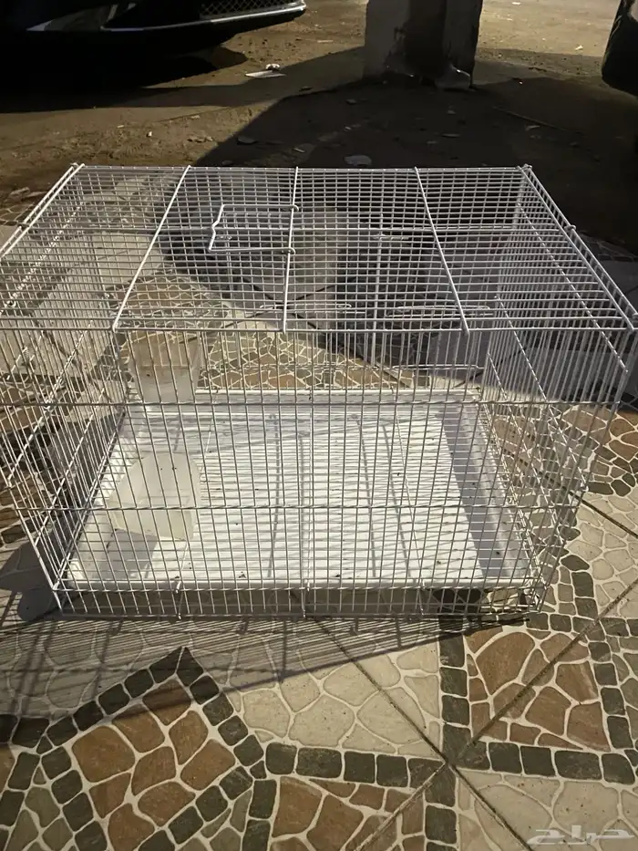 قفص حمام للبيع 3