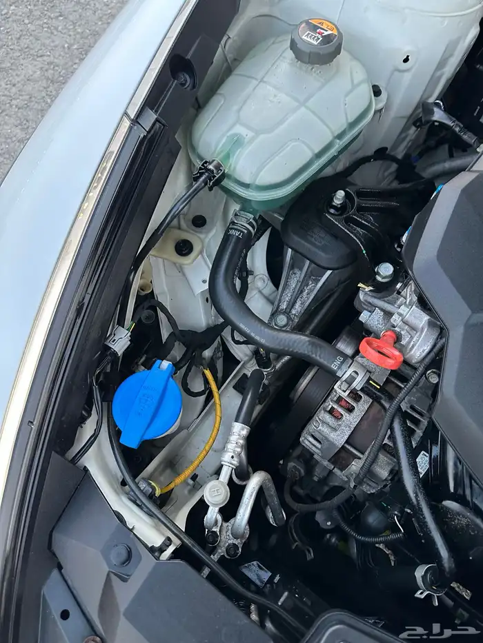 سونانا فل كامل 2021 47