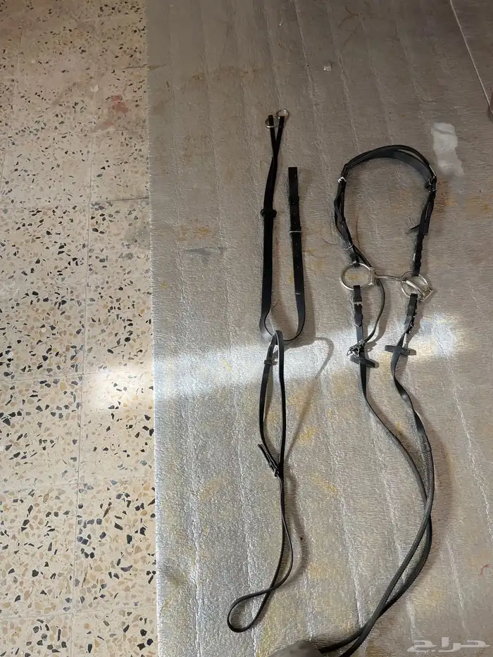 سرج ستيتوس اخو الجديد 2