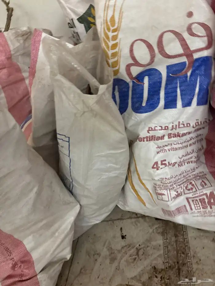 حطب  أورطة 7