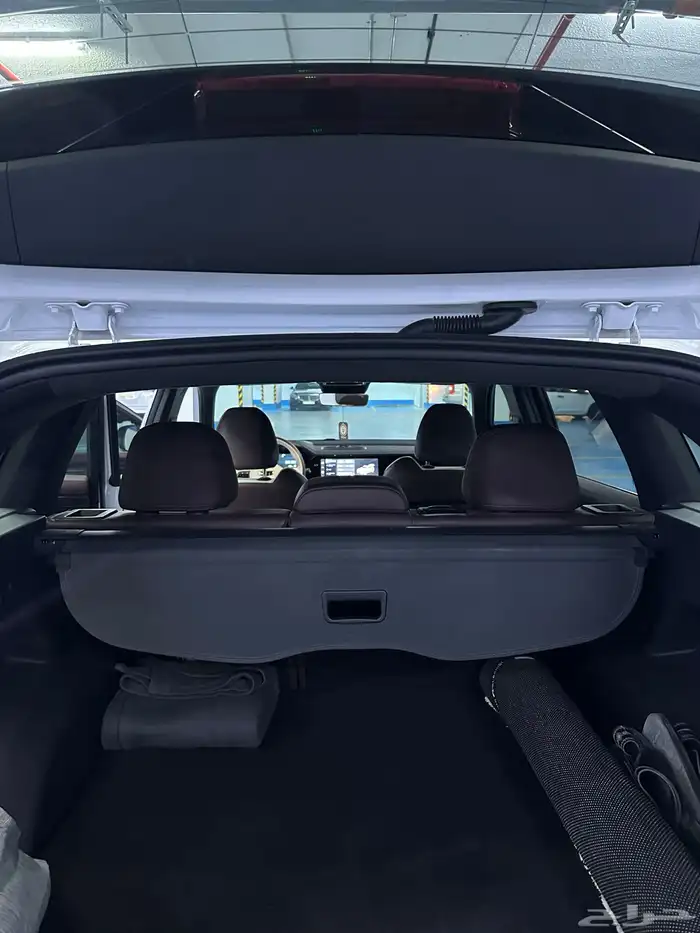 جيلي مونجارو مستخدم نظيف 11