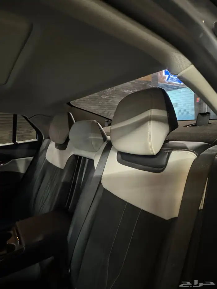 تورس فل كامل 2023 للبيع 5