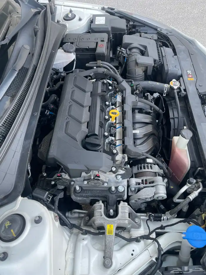 النترا 2021 وارد كوريا - شاشة - ممشى قليل 24