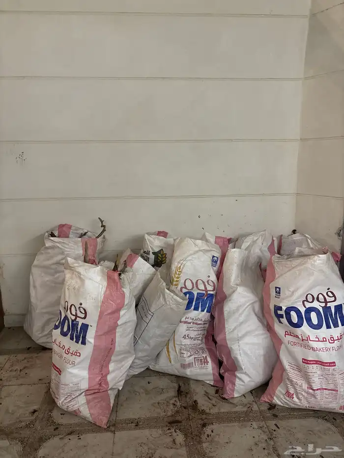 حطب  أورطة 6