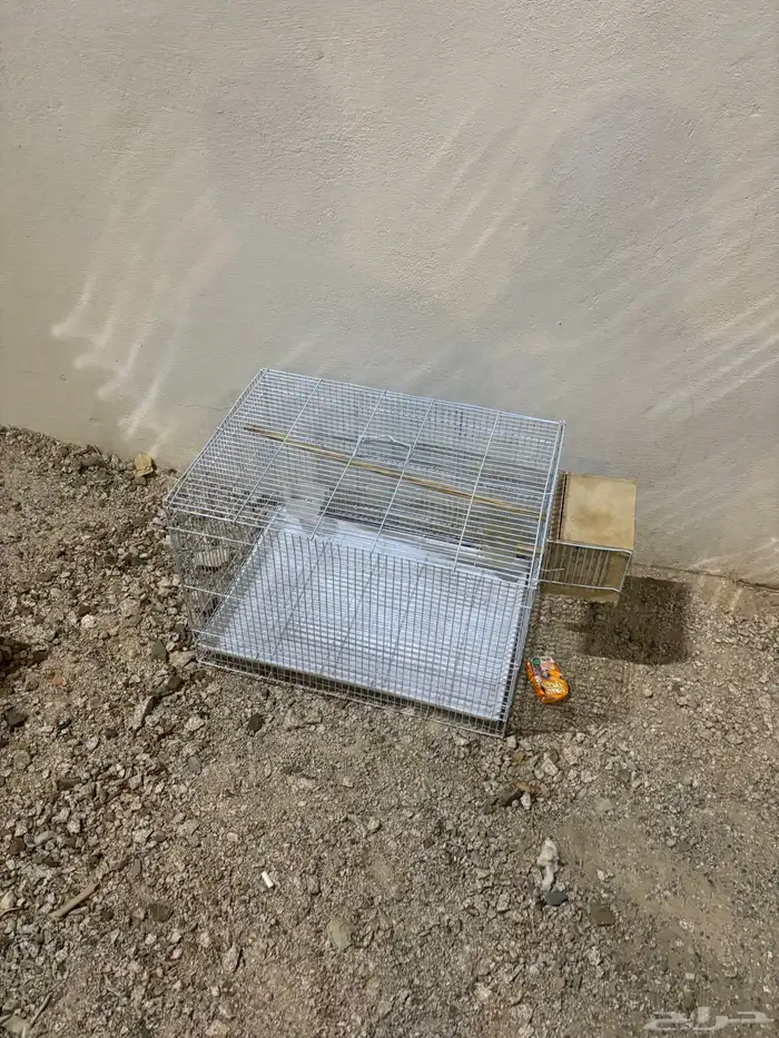 أقفاص طيور. كبيره او صغير على السوم 2