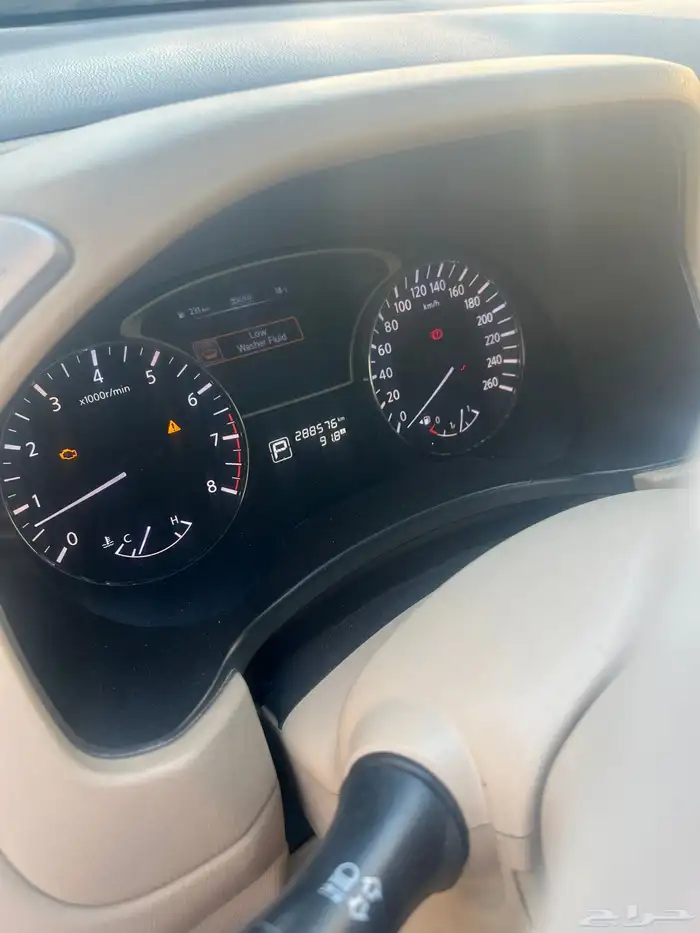 باتفندر 2014 31