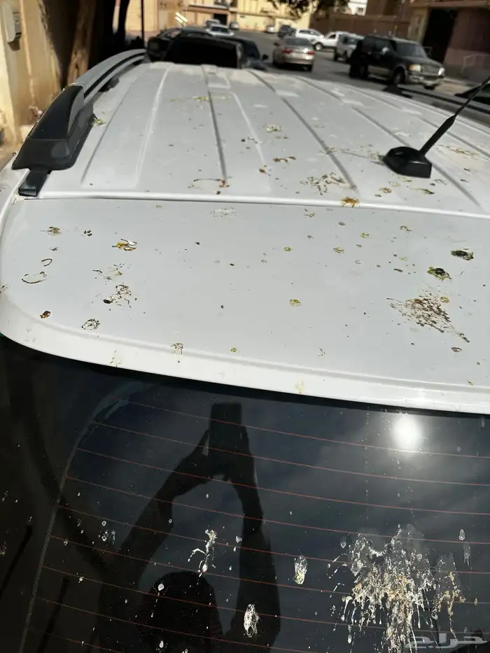 اكسبلور 2015 للبيع 12