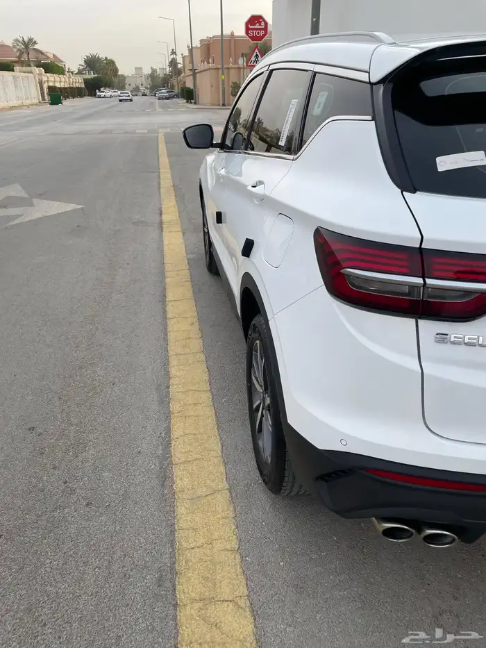 جيلي كولراي 2023 4