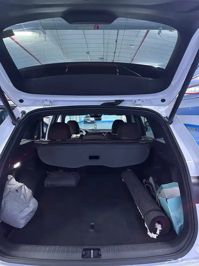 جيلي مونجارو مستخدم نظيف 13