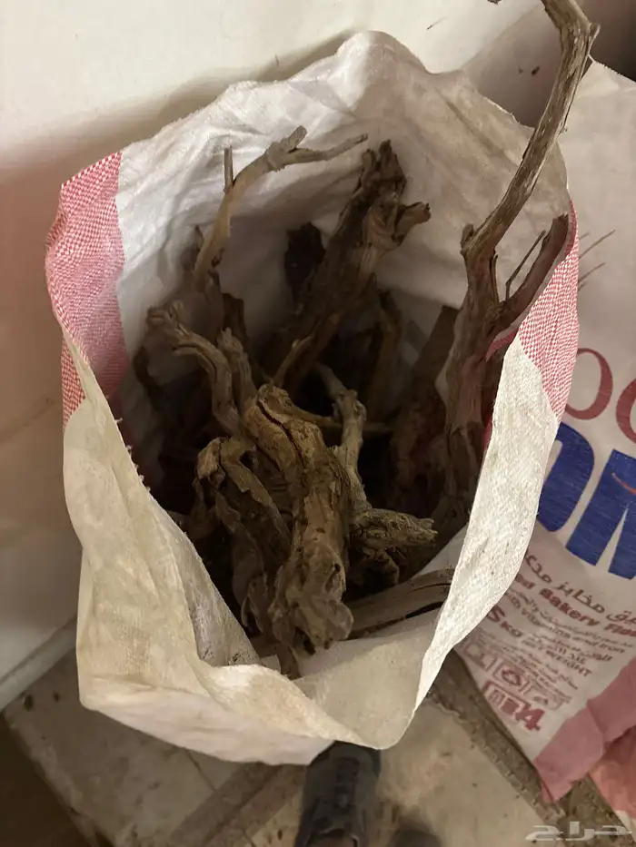 حطب  أورطة 3