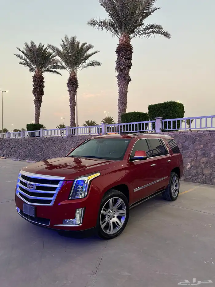 كاديلاك اسكاليد 2015 0