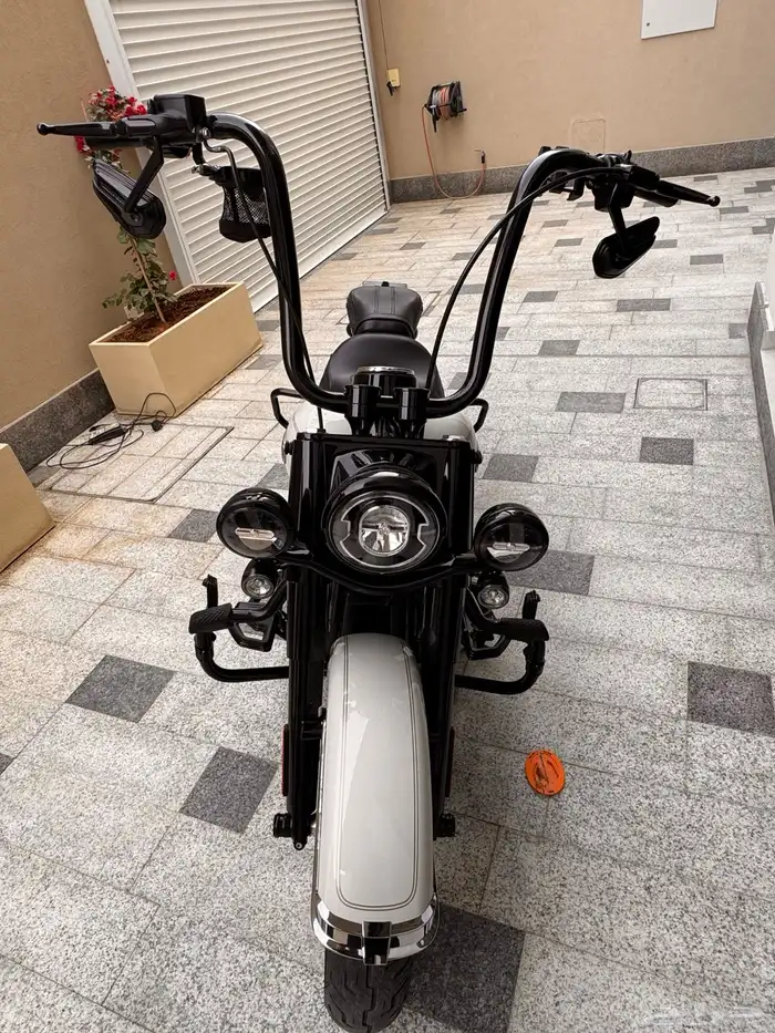 دباب هارلي هيرتج 2022 9