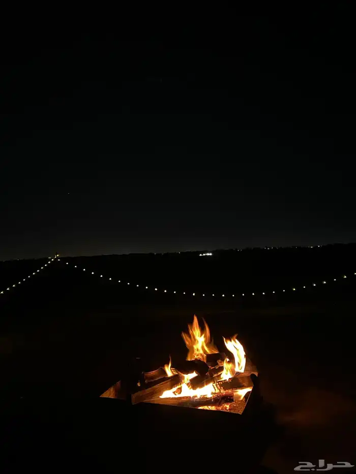 حطب سمر مستورد 1