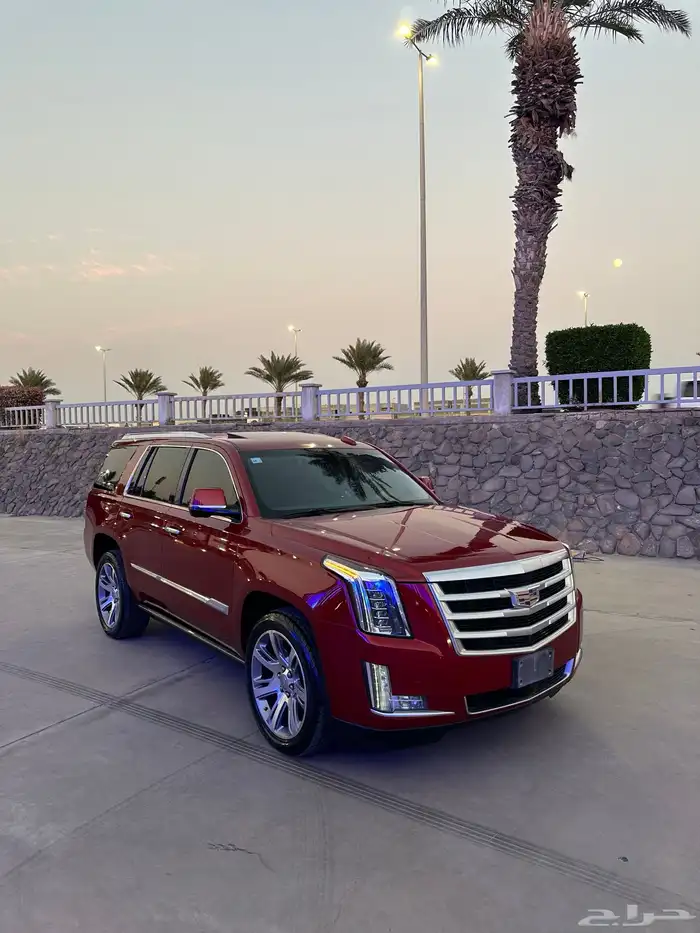 كاديلاك اسكاليد 2015 18