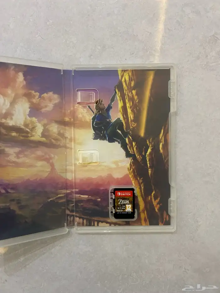 زيلدا بريث اوف ذا وايلد 1