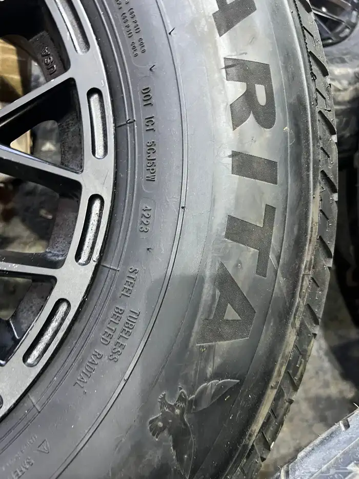 جنوط تيتنايوم مع شاهين 17 تاريخ 2023 نص السنه 9