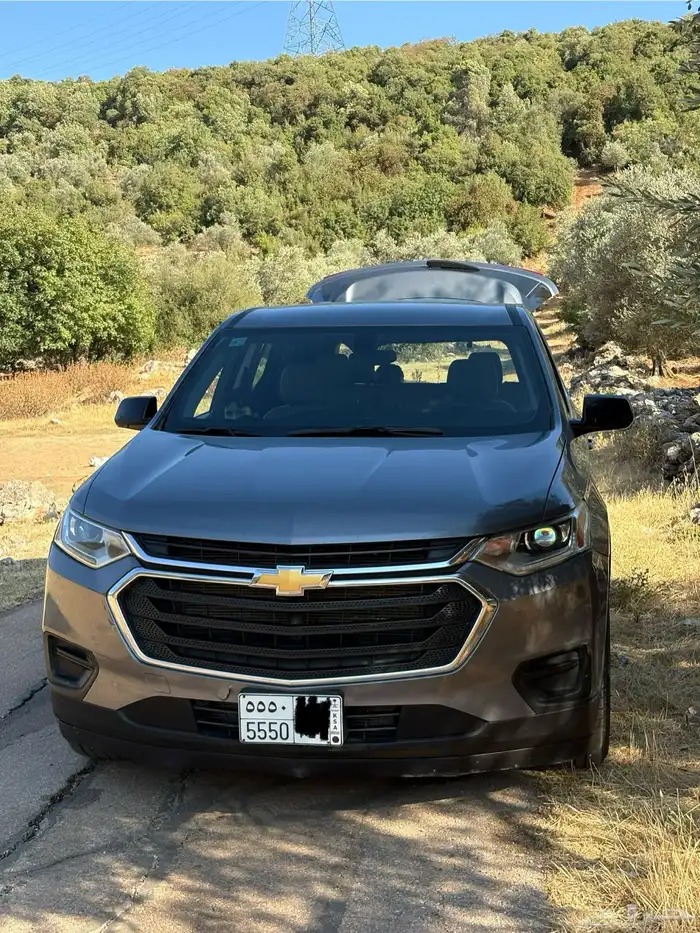 ترافيرس صبغ الوكاله ومشروط 2019 0