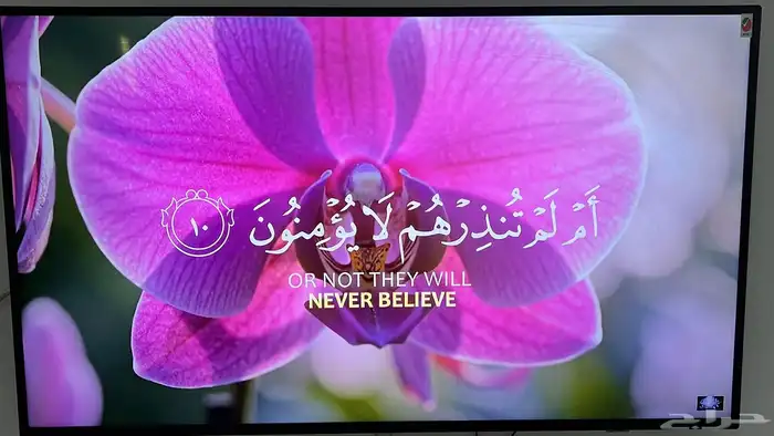 شاشة 65 بوصه 0