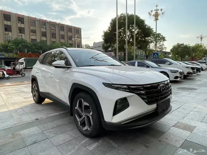 للبيع توسان 2024 أوراد الصين 3