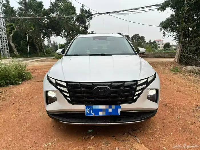 للبيع توسان 2024 أوراد الصين 4