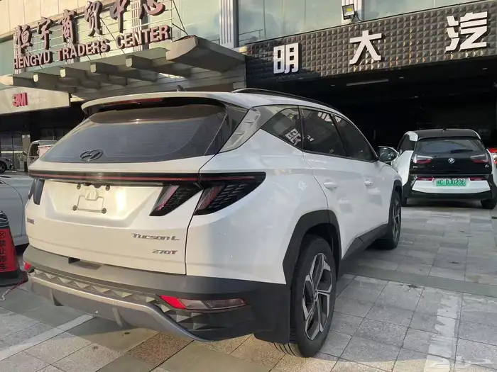 للبيع توسان 2024 أوراد الصين 1