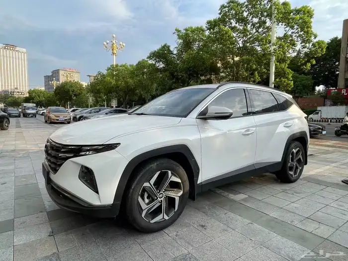 للبيع توسان 2024 أوراد الصين 2