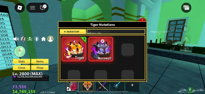 حساب بلوكس فروت مشحون بيرمات   تنين و ثلج فهد وموجد سكن ذيب 7