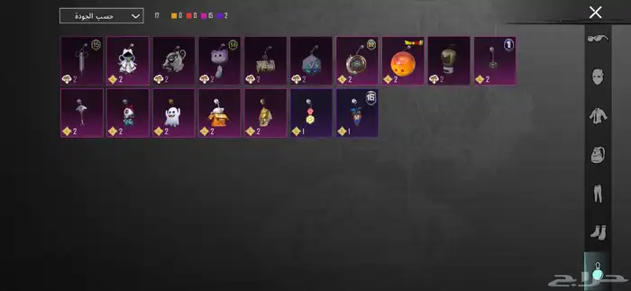 حساب ببجي نادر للبيع 13